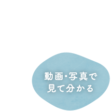 動画・写真で見て分かる